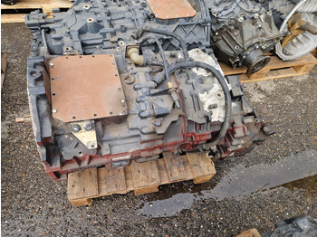 : fotogrāfija galvenē