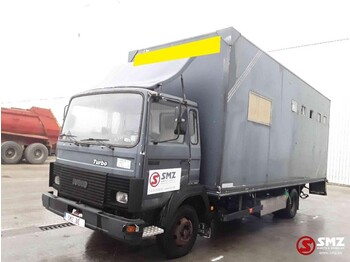 Kravas automašīna dzīvnieku pārvadāšanai Iveco Magirus 80 16 horse truck: foto 3