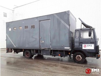 Kravas automašīna dzīvnieku pārvadāšanai Iveco Magirus 80 16 horse truck: foto 4
