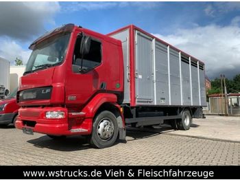 Kravas automašīna dzīvnieku pārvadāšanai DAF LF 55 Einstock KABA: foto 1
