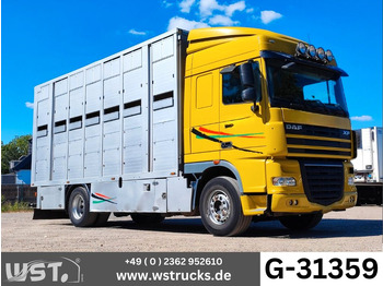 Zirgu kravas automašīna DAF XF