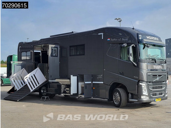 Zirgu kravas automašīna Volvo FH 420 FH 4X2 NL-Truck Xenon Navi ACC Euro 6: foto 3