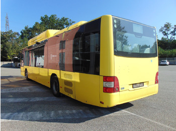Pilsētas autobuss N.2 MAN A21 CNG – Anno 2010: foto 5 Pilsētas autobuss N.2 MAN A21 CNG – Anno 2010: foto 5