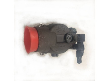 : fotogrāfija galvenē