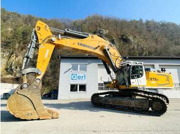 Kāpurķēžu ekskavators Liebherr R976 HD (3946): foto 2 Kāpurķēžu ekskavators Liebherr R976 HD (3946): foto 2