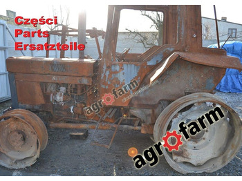 : fotogrāfija galvenē