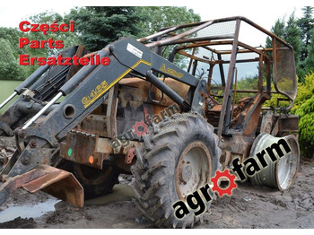 : fotogrāfija galvenē