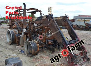 : fotogrāfija galvenē