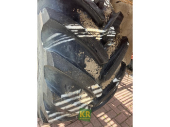 GV 3000 Grimme  līzingu GV 3000 Grimme: foto 2