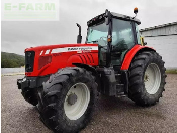 Traktors MASSEY FERGUSON 6465