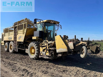 : fotogrāfija galvenē