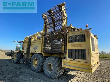 Biešu kombains Ropa euro tiger: foto 3