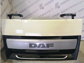 Radiatora reste DAF XF 106