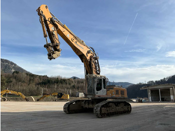 Kāpurķēžu ekskavators LIEBHERR R 954