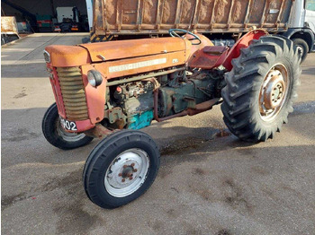 Traktors MASSEY FERGUSON