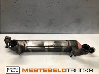 Dzesēšanas sistēma DAF