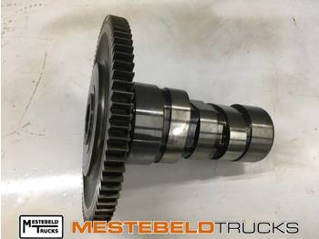 Dzinējs un rezerves daļas DAF