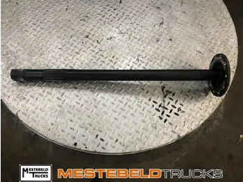 Aizmugurējā ass DAF