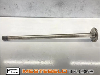 Aizmugurējā ass DAF