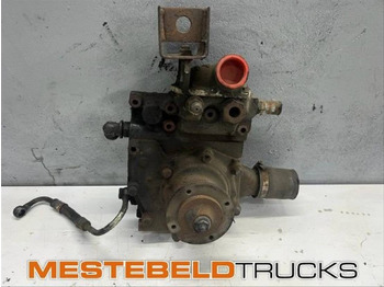 : fotogrāfija galvenē