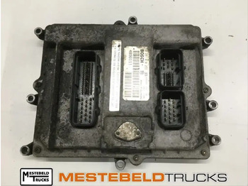 : fotogrāfija galvenē