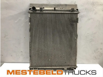 Dzesēšanas sistēma MAN