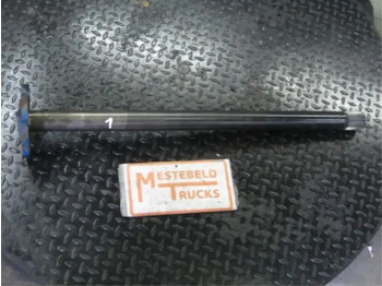 : fotogrāfija galvenē