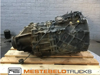 : fotogrāfija galvenē