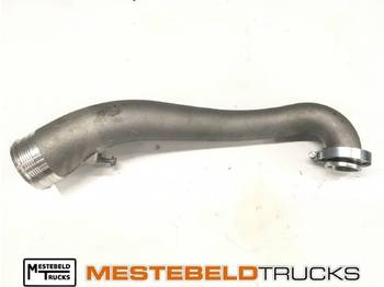 : fotogrāfija galvenē