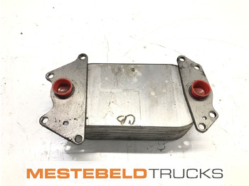 : fotogrāfija galvenē