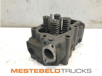 : fotogrāfija galvenē