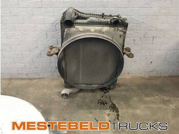 : fotogrāfija galvenē