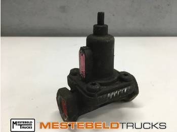 : fotogrāfija galvenē