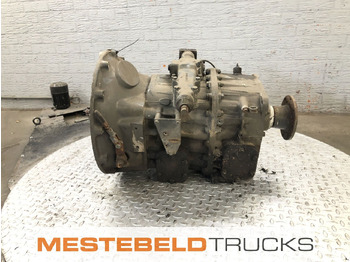 : fotogrāfija galvenē