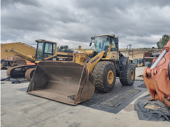 : fotogrāfija galvenē