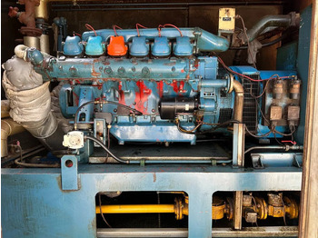 Elektroģenerators MAN Stamford 275 kVA Silent Gas generatorset in container: foto 4