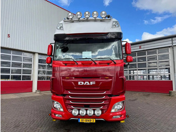 Vilcējs DAF XF 480 FT EURO 6: foto 3