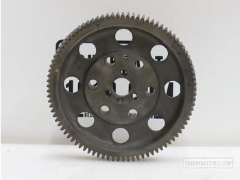 : fotogrāfija galvenē