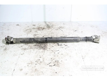 : fotogrāfija galvenē