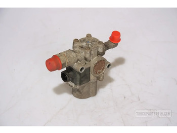 : fotogrāfija galvenē