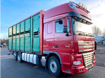 Kravas automašīna dzīvnieku pārvadāšanai DAF XF 105 460