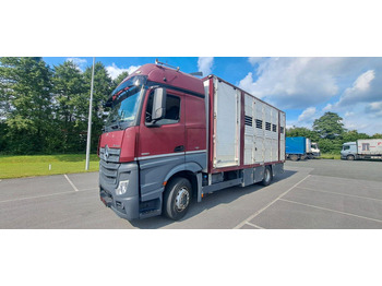 Kravas automašīna dzīvnieku pārvadāšanai MERCEDES-BENZ Actros 1851