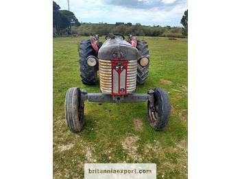 Traktors MASSEY FERGUSON 65 | 4 cylinder diesel | disc brakes: foto 2