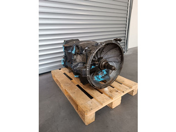 : fotogrāfija galvenē