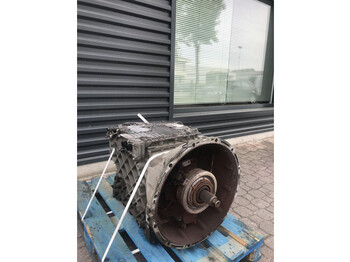 : fotogrāfija galvenē