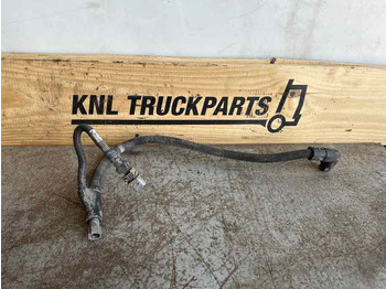 : fotogrāfija galvenē