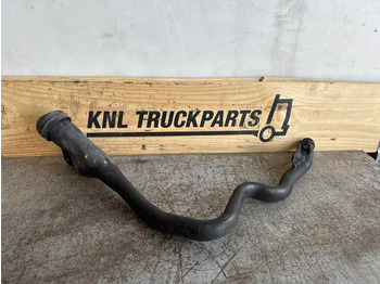 : fotogrāfija galvenē