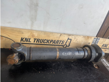 Kardānvārpsta SCANIA P