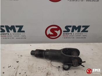 Seglierīce - Kravas automašīna DAF Occ trekhaak DAF: foto 2