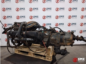 : fotogrāfija galvenē